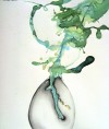 Union Street Gallery's spring show takes viewers into nature