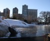 No snow day for zoo staff