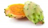 Herbal Healer: What is prickly pear?