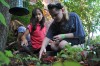 Area way stations wait to welcome monarchs