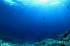 Acoustic cloak hides underwater objects from sonar
