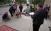 The furry faithful