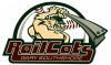 RAILCATS LOGO 6