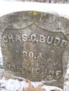 Charles C. Budd, 1843-1920