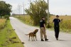 Police continue search for evidence in Union Township homicide