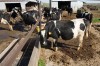 NWI farms face stricter federal rules that ban many tasks for minors