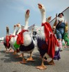 For some, fair is all about the food