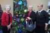 Festival of Trees 2012