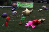 Griffith gives 9-year-old kidney transplant patient a warm welcome home