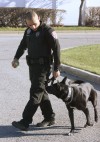 Django, partner ready to collar criminals