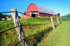 Farm