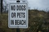 The never-ending debate about dogs on the beach