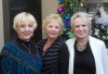 Festival of Trees 2012