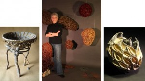 Natural Selection by Bonnie Zimmer