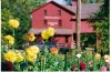 Art & Earth Trail