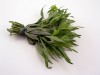 Herbal Healer What is tarragon?