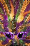 Mardi Gras mask