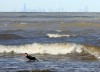 Surfing Lake Michigan