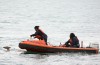 Deer drowns in Lake Michigan after rescue attempt