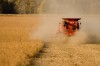 Reaping what was sown
