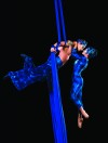 Cirque du Soleil