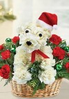 A-DOG-Able Santa Paws Flower Arrangement from 1-800-FLOWERS.com