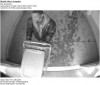 Police seek help in finding suspect in attempted theft