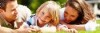 Lawn Doctor's Photos