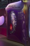 Interactive jellyfish kiosk