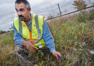 Undisturbed prairie found along railroad