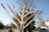 Hanukkah celebrates miracle of the lights during eight-day festival