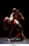 Ballroom dance extravaganza 'Burn the Floor' set to heat up Chicago