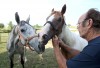 County police rescue abandoned horses 