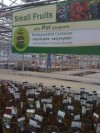 Alsip Home & Nursery