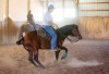 FAIRHORSES - Stone Ridge training center