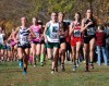 Taylor Austin, Griffith cross country