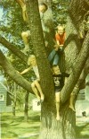 Show us your family!