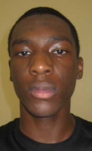 2011 Illinois All-Area Football Team