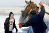 Horse rescued from pond 
