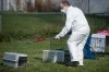Ailing dogs and cats removed from Salt Creek Commons home