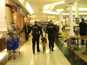 Hobart police, mall officials increase presence during holidays