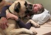 How to Make Your Home Pet Friendly