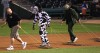 Grounds crew