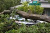 Widespread damage reported throughout region after storm
