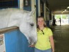 No rest for busy volunteer with dogs and horses