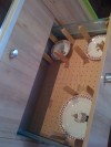 Making the most of small kitchens