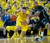 Mitch McGary, Adreian Payne