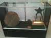 Civil War display case
