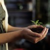 Fun Ways To Go Green at Your Wedding