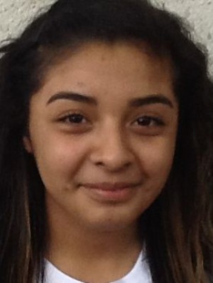 2013 Times Illinois All-Area Girls Soccer Team
